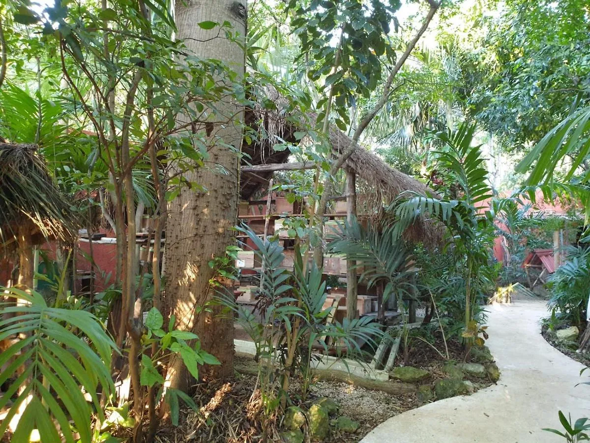 Casa Don Diego Bed & Breakfast Tulum