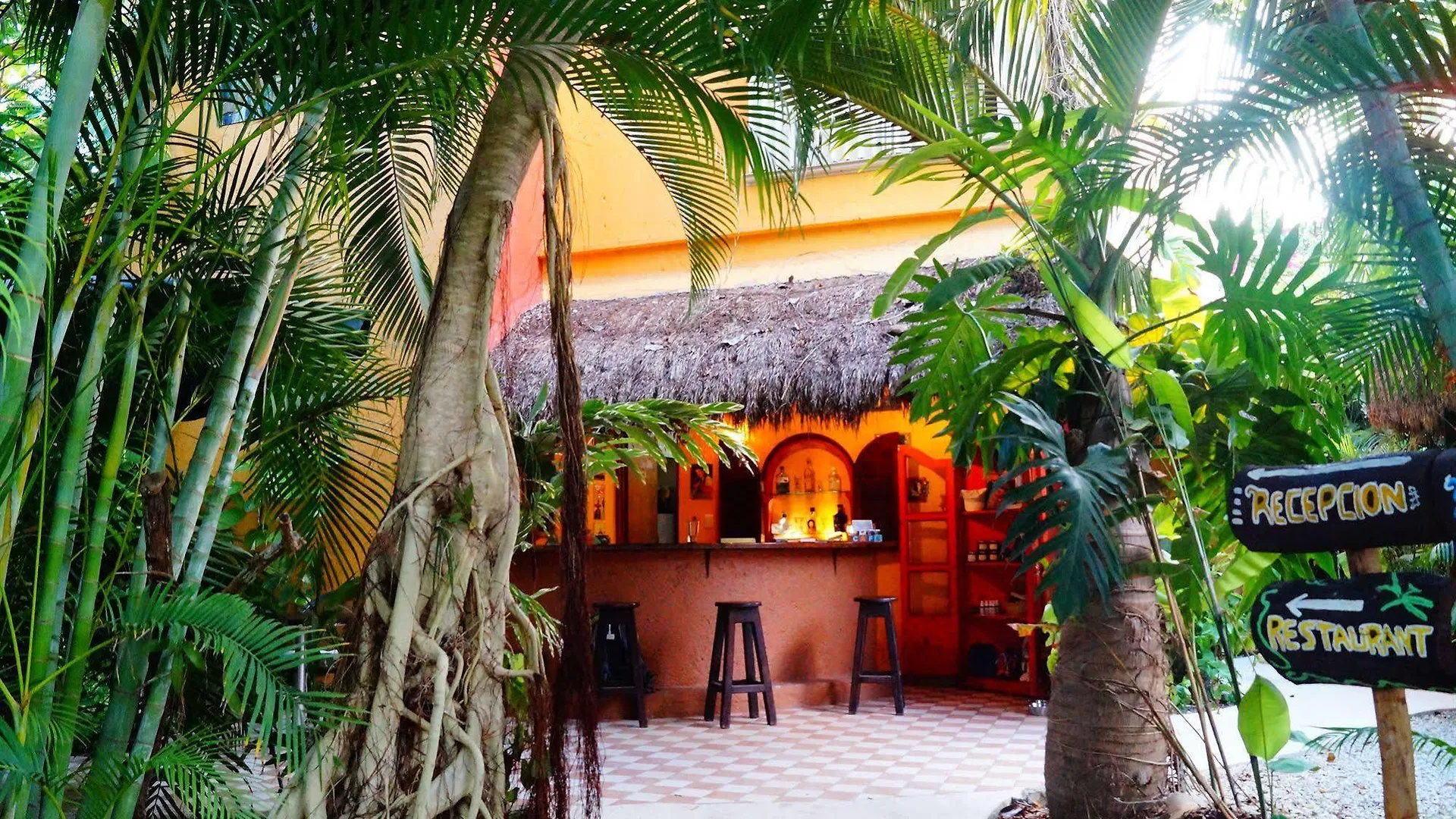 ***  Casa Don Diego Bed & Breakfast Tulum Mexico